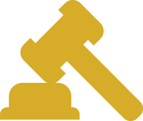 Personal Injury Icon